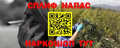 ALPHA PVP Коммунар
