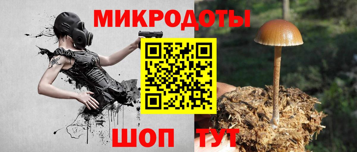 Галлюциногенные грибы прущие грибы Йошкар-Ола