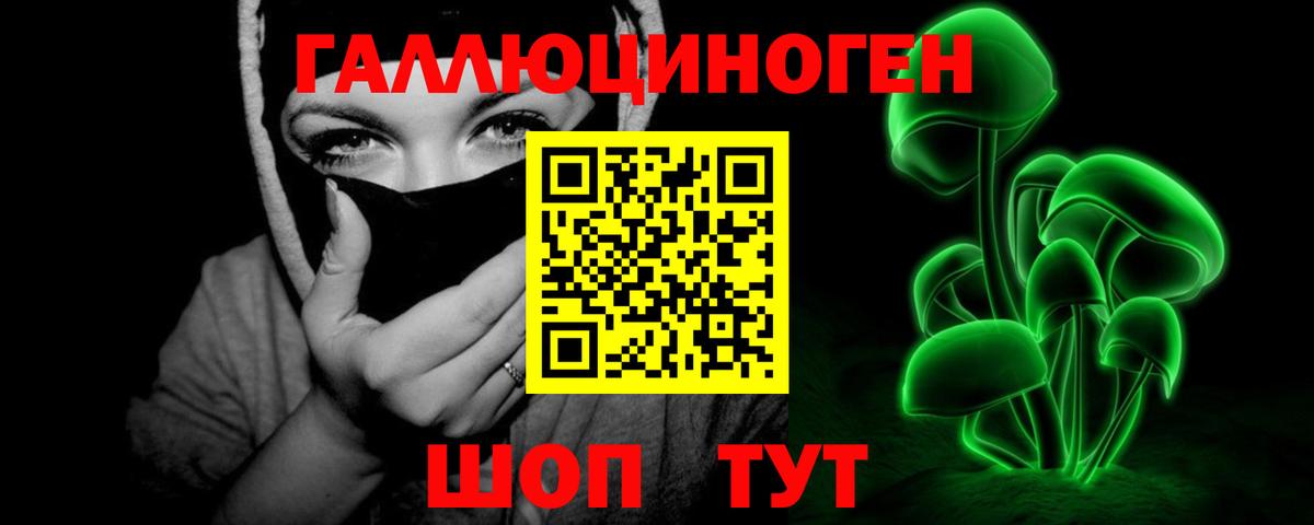 Псилоцибиновые грибы Psilocybe  Галлюциногенные грибы GOLDEN TEACHER  Вход с VPN  Йошкар-Ола 